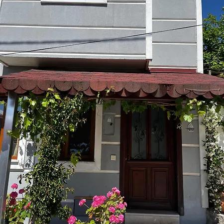 Deniz Manzaralı Müstakil Ev Aybalik *