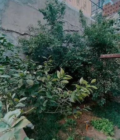 Deniz Manzarali Muestakil Ev Aybalik Apartman