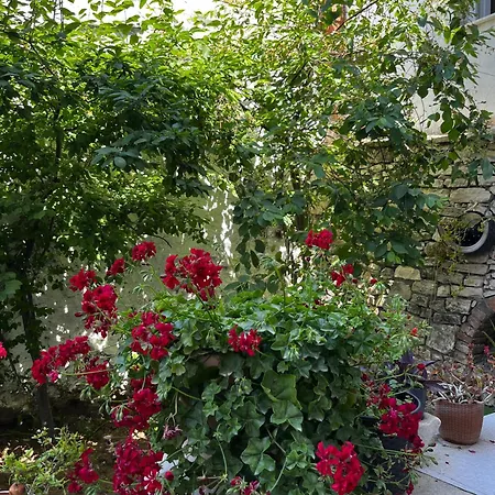 Apartman Deniz Manzarali Muestakil Ev Aybalik Ayvalı