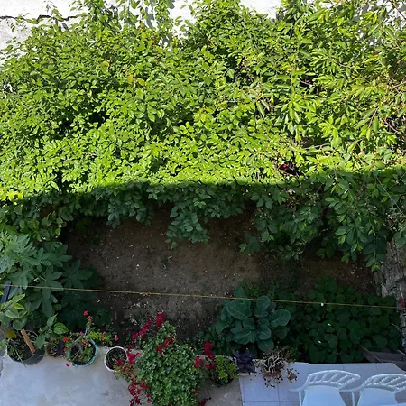 Deniz Manzarali Muestakil Ev Aybalik Apartman Ayvalı