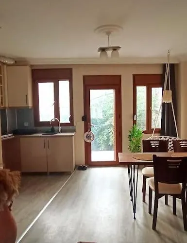 Lejlighed Deniz Manzarali Muestakil Ev Aybalik *