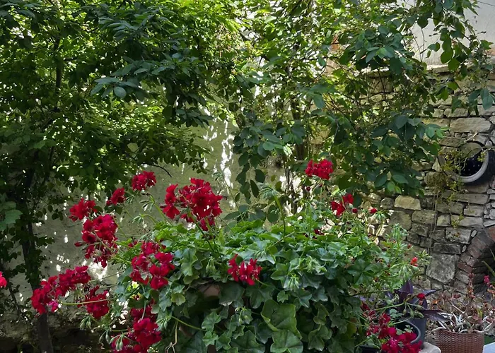 Lejlighed Deniz Manzarali Muestakil Ev Aybalik Ayvalı